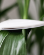 Exfolimate, Body & Twin Exfoliating Tool (Twin Set) - Image 2