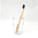 TWIG, Bamboo Toothbrush