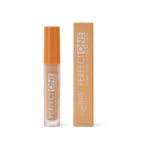 PuroBIO, Perfect One Concealer (4.8g) - 01